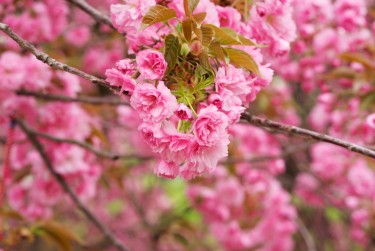 常州溧阳线下个人借款平台一站式服务，轻松解决资金难题