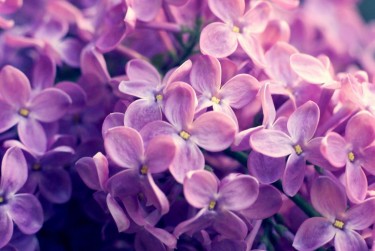 常州溧阳企业急用钱贷款攻略：快速融资解燃眉之急